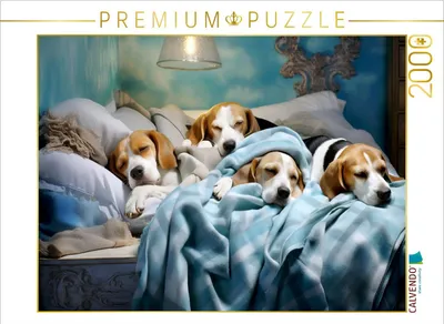 Produktbild von CALVENDO Puzzle Ein Motiv aus dem Kalender "Lieblingsschlafplätze" | 2000 Teile Lege-Größe 90x67cm Foto-Puzzle für glückliche Stunden