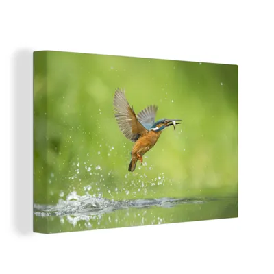 Obrázok produktu pre OneMillionCanvasses® - Maľba na plátne - Obraz na plátne Nástenná maľba na plátne - Rybárik - Ryby - Zvieratá - 150x100cm - Fotografia na plátne -