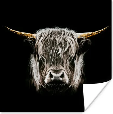 Produktbild von MuchoWow® Poster Schottischer Highlander - Schwarz - Weiß - Hörner 50x50 cm - Wohnzimmerdekoration