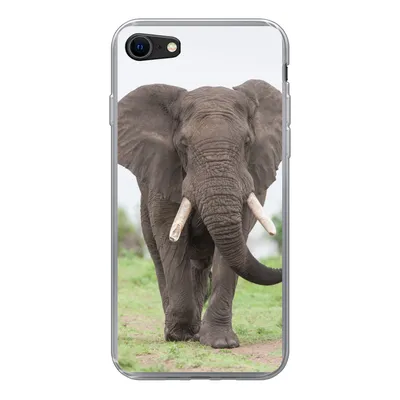 Produktbild von MuchoWow® Handyhülle Schutzhülle Hülle für iPhone 8 Elefant - Tiere - Gras - Natur Silikon Softcase Handy Hülle - Schutzhaube