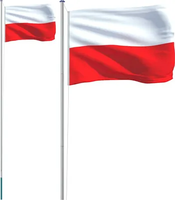 Produktbild von vidaXL Flagge Polens mit Mast 6,08 m Aluminium