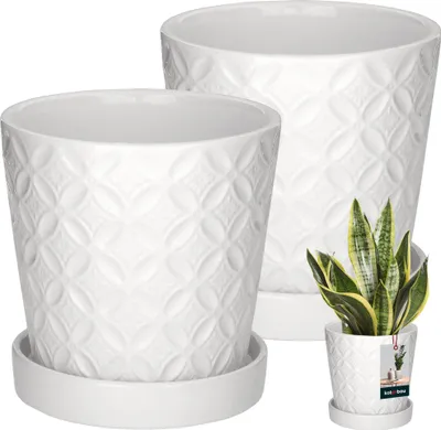 Two white ceramic planters with a textured pattern and a small snake plant in one of them, along with a product tag.