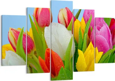 Produktbild von Bild auf Leinwand - Leinwandbild - Tulpen Blumenstrauß Blumen Tau - 150x100cm - Wand Bild - Wanddeko - Leinwanddruck - Bilder - Kunstdruck - Leinwand bilder - Wandkunst - EA150x100-2526