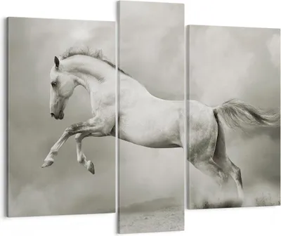 Produktbild von Bild auf Leinwand - Leinwandbild - Pferd Tier - 95x80cm - Wand Bild - Wanddeko - Wandbilder - Leinwanddruck - Bilder - Kunstdruck - Wanddekoration - Leinwand bilder - Wandkunst - CB95x80-3542