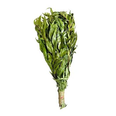 Produktbild von Eukalyptus Reisigbesen für Sauna und Massage – traditionelle Körperpflege mit Aroma