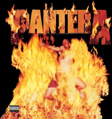 Image de Pantera-Réinventer l'acier