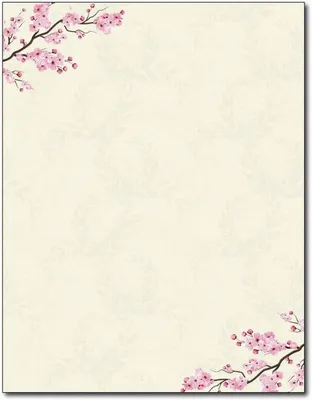 Produktbild von 80 Blatt Brieftaschenpapier mit Kirschblüten-Motiv