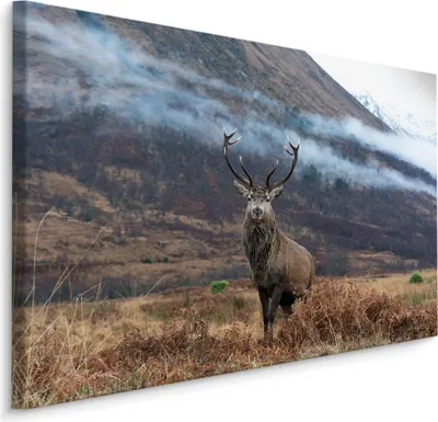 Produktbild von Fabelhaftes Canvas LEINWAND BILDER 90x60 cm XXL Kunstdruck Berge Nebel Natur Hirsch
