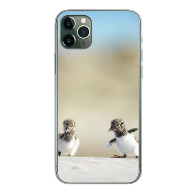 Produktbild von MuchoWow® Handyhülle Schutzhülle Hülle für iPhone 11 Pro Max Junge - Sand - Vögel Silikon Softcase Handy Hülle - Schutz