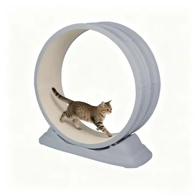 Produktbild von Katzenlaufrad Innendurchmesser 80cm leise Laufband mit Sicherheitsschloss-Design für Katzen Grau