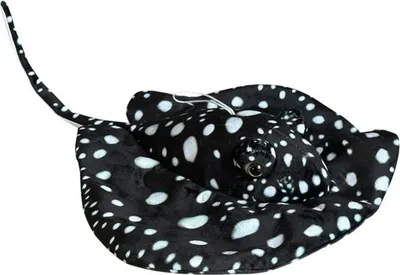 Obrázek produktu pro Rejnok černý 55 cm – Dubi