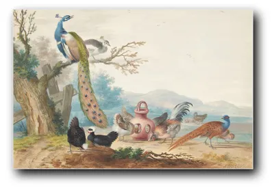 Immagine prodotto di Stampa artistica "Paesaggio con uccelli" di Johannes Bronckhorst – 40 x 60 cm – non incorniciata