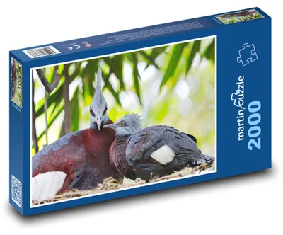 Obrázok produktu pre martinpuzzle - Puzzle 2000 - Holub s korunou