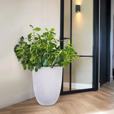 Produktbild von Capi Vase Groove Elegant 34x46 cm Elfenbein