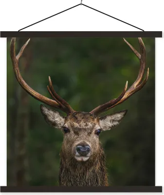 Produktbild von MuchoWow® Textilposter Hirsch - Geweih - Natur 90x90 cm mit schwarzem Rahmen - Magnetisches