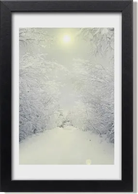 Produktbild von Bild 20x30 MDF-Rahmen, Wandkunst Winterwald