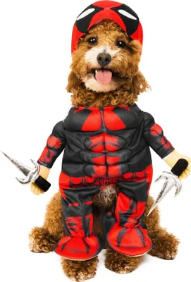 Produktbild von Deadpool Größe: S