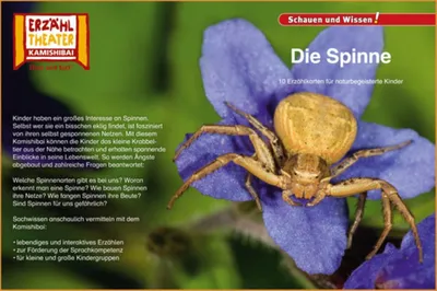 Produktbild von Kamishibai: Die Spinne
