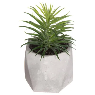 Produktbild von Künstliche fettpflanze zementtopf h14cm  - Atmosphera créateur d'intérieur