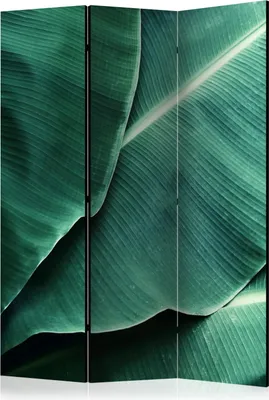 Obrázek produktu pro Jednostranný paraván Leaf 135x172 cm 3-dílný zelený
