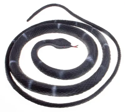 Produktbild von Realistische Latex Schlange Schwarz 80 cm für Partydeko und Kostümzubehör