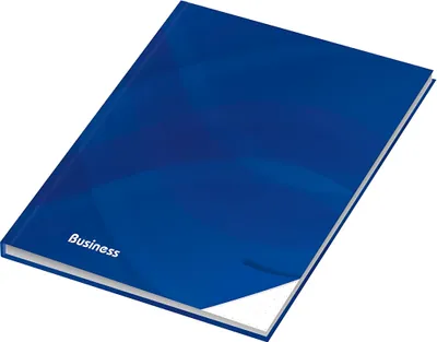 Produktbild von RNK Kladde Business blau dotted A5 96Bl
