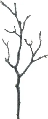 Produktbild von artplants.de Künstlicher Magnolien AST LOSTY, braun, 45cm - Kunstblumen Zweig