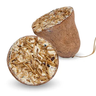 Produktbild von 2 x 8 Stk. Lyra Pet® Protein Boost Futterglocke mit Mehlwürmern