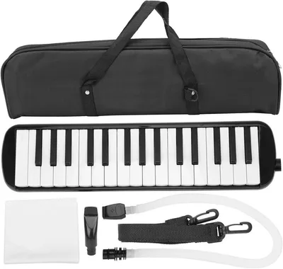 Melodica, Hauptbild