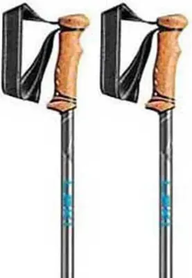 Two trekking poles are shown against a white background.