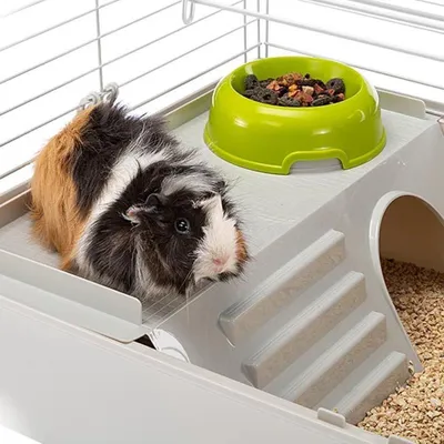 Produktbild von Cavie 80 Meerschweinchenkäfig Sicherheitsverschluss inklusive Zubehör - Gitter aus lackiertem Metall und Kunststoffboden M