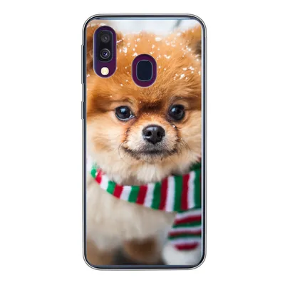 Produktbild von MuchoWow® Handyhülle Schutzhülle Hülle für Samsung Galaxy A40 Hund - Halstuch - Schnee Silikon Softcase Handy Hülle - Handy-Tasche