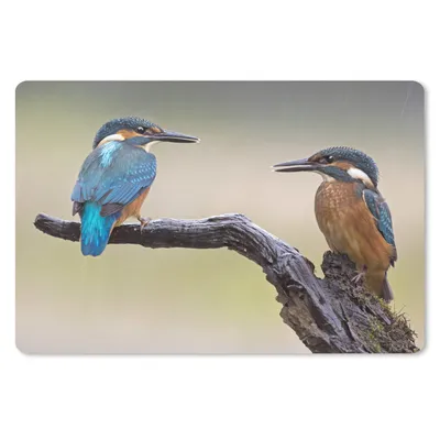 Produktbild von MuchoWow® Schreibtischunterlage Eisvogel - Blau - Orange 60x40 cm - XXL Mauspad - Großes Mauspad