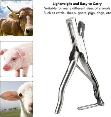 Image de Pince à percer les oreilles pour porcs : légère, ergonomique, facilitant le travail