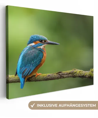 Obrázek produktu pro OneMillionCanvasses® - Obrazy na plátně - Zimolez - Větev - Mech - Pták - Zelená, Fototapeta, nástěnné dekorace Obývací pokoj, 120x90cm