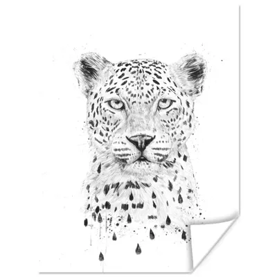 Produktbild von MuchoWow® Poster Leopard - Punkte - Tiere 120x160 cm - Wandbilder