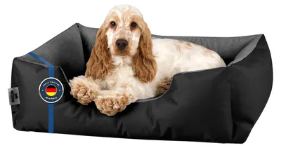 Image de Lit pour chien BedDog LUPI Canapé pour chien Coussin pour chien lavable, THE-ROCK (noir/gris), (S) env. 55 x 40 x 17 cm