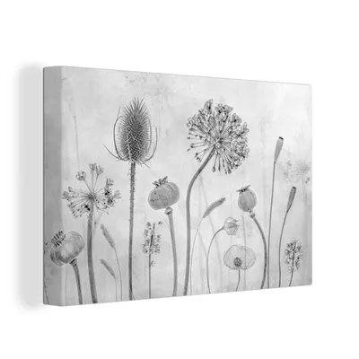 Produktbild von OneMillionCanvasses® - Leinwandbilder - 150x100 cm, Stilleben - Schwarz und weiß - Natur, Wandbilder Kunstdruck Wanddekoration