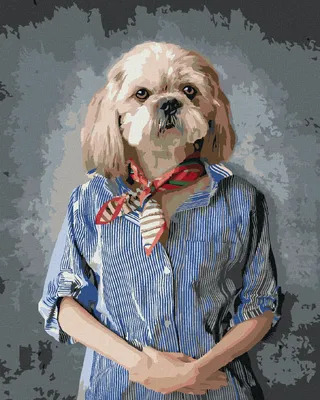 Produktbild von Zuty - Malen nach Zahlen - HUND IN KLEIDUNG, 40x50 cm, mit Keilrahmen (bereits gespannt)