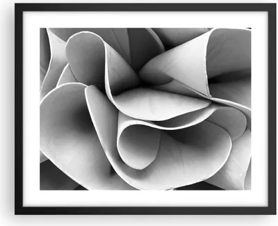 Produktbild von Gerahmtes Poster - Schwarzer Rahmen - Material Ornament Stück - 50x40 cm - Wand Bild - Wanddeko - Wandbilder - Kunstposter - Wandposter - Bilderrahmen - Bilder - Kunstdruck - P2BAA50x40-4993