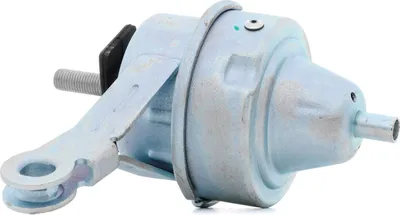 Produktbild von RIDEX Motorlager Hydrolager Vorne Rechts für MINI Schrägheck (R50, R53) 247E0262
