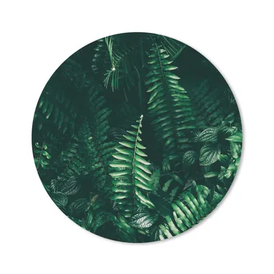 Produktbild von MuchoWow® Mauspad Mousepad Blätter - Dschungel - Natur - Tropisch - Pflanzen 30x30 cm - Mousepads - Maus Mat - Pad - Mausunterlage - Tischunterlage - Schreibtischmatten