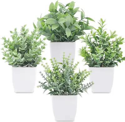 Produktbild von Set von 4 realistischen Kunstpflanzen für drinnen und draußen - Ideal für die Wohnkultur