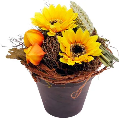 Produktbild von Herbstgesteck Tontopf SONNENBLUME Zweige Physalis gelb H 20cm, Ø 13cm