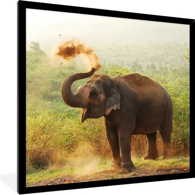 Produktbild von MuchoWow® Gerahmtes Poster Reinigungselefant 40x40 cm - Poster mit Schwarzem Bilderrahmen Wandposter Rahmen Foto Bilder - Mit Rahmen - Wanddekoration Schlafzimmer