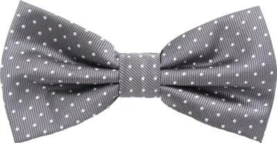 Produktbild von Fabio Farini - 1 Stück Herren Fliegen mit Punkten - Männer Querbinder Vorgebunden Bowtie Dunkelgrau (Weiß)
