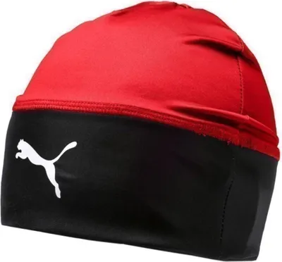 Zdjęcie produktu dla Puma Czapki Liga Beanie, 02235501