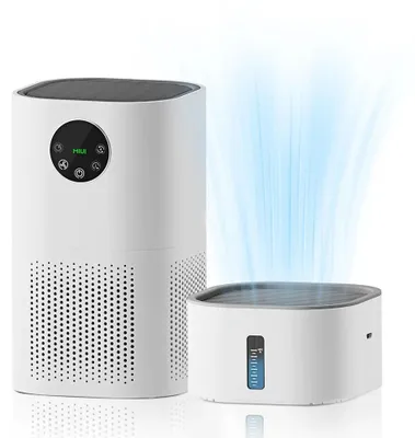 Immagine prodotto di Purificatore d'aria con umidificatore - 2 in 1 - Filtro HEPA H13 - Ideale per allergie e peli di animali domestici - Include umidificatore