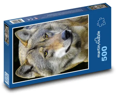 Obrázok produktu pre Puzzle 500 Vlka v divokej prírode - martinpuzzle