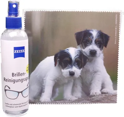 Produktbild von Mikrofasertuch "Terrierwelpen"  Größe 18,5*18,5 cm von La Kelnet